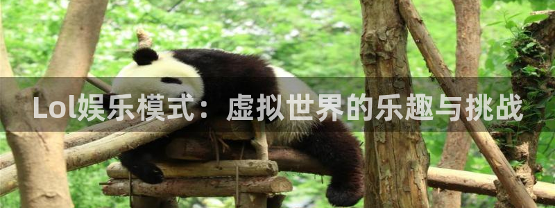 庄闲和游戏官网