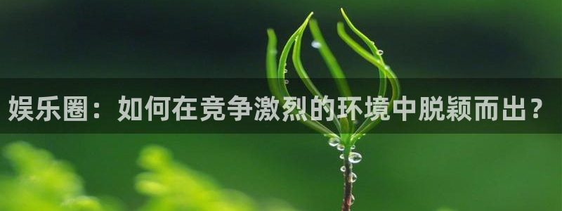 庄闲和游戏官网