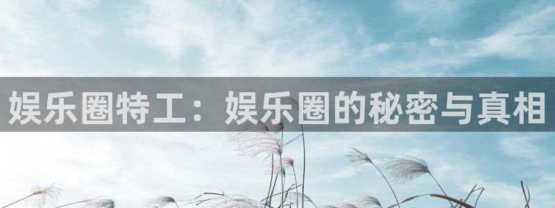 庄闲和游戏官网