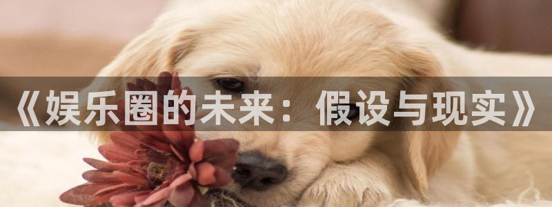 庄闲和游戏官网
